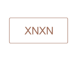 XNXN 第18类皮革箱包商标图样