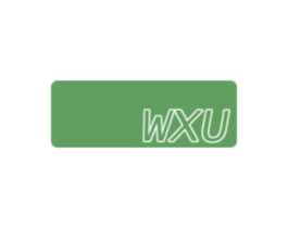 WXU 第18类皮革箱包商标图样