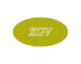 XGV 第18类皮革箱包商标图样