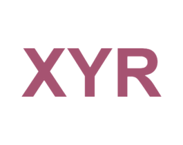 XYR 第18类皮革箱包商标图样