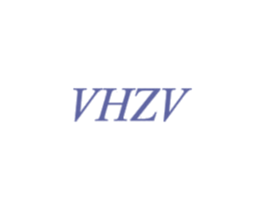 VHZV 第14类珠宝钟表商标图样