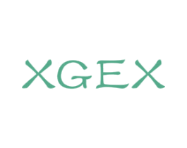 XGEX 第11类家用电器商标图样