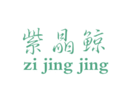 紫晶鲸 第25类服装鞋帽商标图样