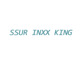 SSUR INXX KING 第25类服装鞋帽商标图样