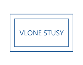 VLONE STUSY 第25类服装鞋帽商标图样
