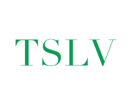 TSLV 第25类服装鞋帽商标图样