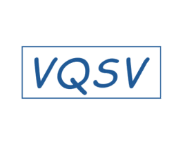 VQSV 第25类服装鞋帽商标图样