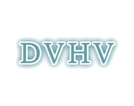 DVHV 第25类服装鞋帽商标图样