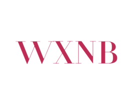 WXNB 第25类服装鞋帽商标图样