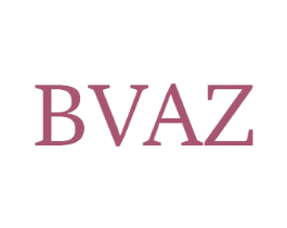 BVAZ 第25类服装鞋帽商标图样