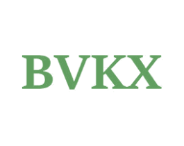 BVKX 第25类服装鞋帽商标图样