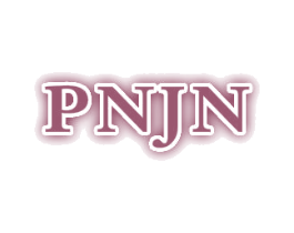 PNJN 第25类服装鞋帽商标图样