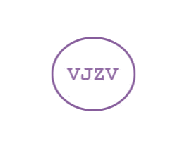 VJZV 第25类服装鞋帽商标图样