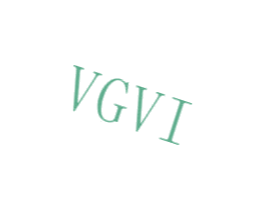 VGVI 第25类服装鞋帽商标图样