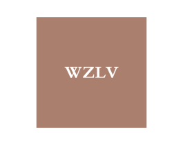WZLV 第25类服装鞋帽商标图样