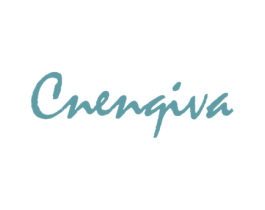 CNENQIVA 第25类服装鞋帽商标图样