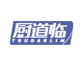 厨道临 TRUDARLIM 第11类家用电器商标图样