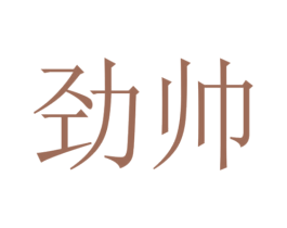 劲帅 第2类颜料油漆商标图样