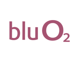 BLUO2 第3类化妆品商标图样