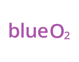 BLUEO2 第30类小食配料商标图样
