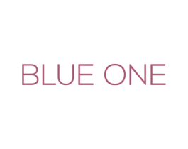 BLUE ONE 第42类技术服务商标图样