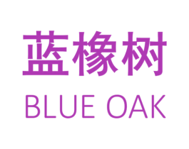 蓝橡树 BLUE OAK 第18类皮革箱包商标图样