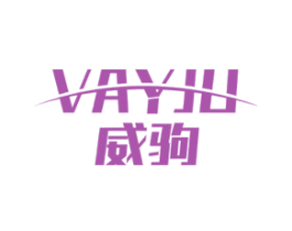 威驹 VAYJU 第9类科学仪器商标图样