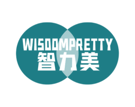 智力美 WISDOMPRETTY 第9类科学仪器商标图样