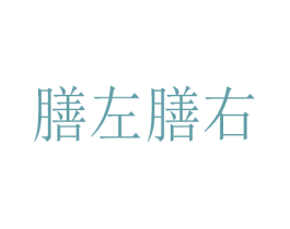 膳左膳右 第43类餐饮酒店商标图样