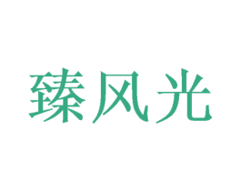 臻风光 第33类酒商标图样