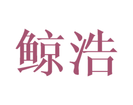 鲸浩 第27类地毯席垫商标图样