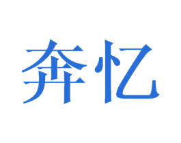 奔忆 第27类地毯席垫商标图样