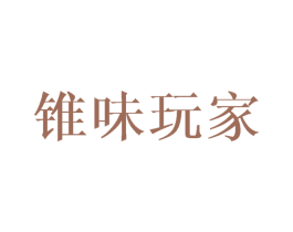 锥味玩家 第9类科学仪器商标图样