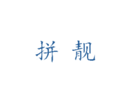 拼靓 第5类医药商标图样
