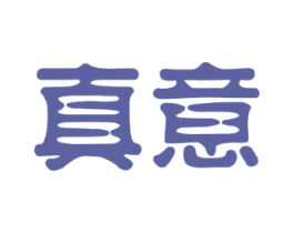 真意 第9类科学仪器商标图样