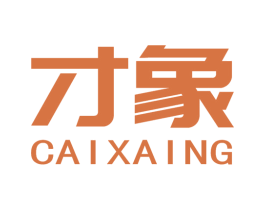 才象 第41类教育娱乐商标图样