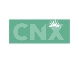 CNX 第4类燃料油脂商标图样