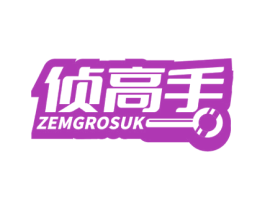 侦高手 ZEMGROSUK 第41类教育娱乐商标图样