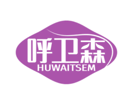 呼卫森 HUWAITSEM 第10类医疗器械商标图样