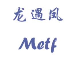 龙遇凤 METF 第10类医疗器械商标图样