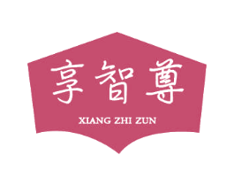 享智尊 第9类科学仪器商标图样