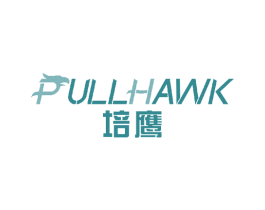 培鹰 PULLHAWK 第9类科学仪器商标图样