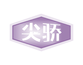 尖骄 第9类科学仪器商标图样