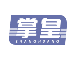 掌皇 第9类科学仪器商标图样