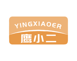 鹰小二 第9类科学仪器商标图样