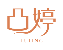 凸婷 第5类医药商标图样