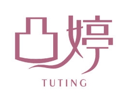 凸婷 第3类化妆品商标图样