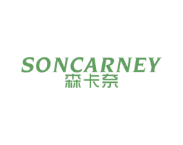 森卡奈 SONCARNEY 第25类服装鞋帽商标图样