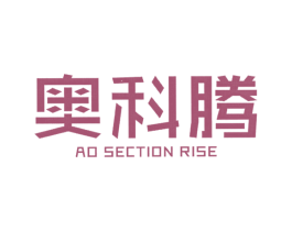 奥科腾 AO SECTION RISE 第11类家用电器商标图样