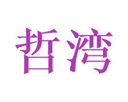 哲湾 第16类办公工具商标图样
